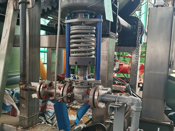 فیلتر Desulfurization Gas
